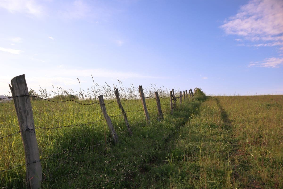 A wooden fence line running through a pasture