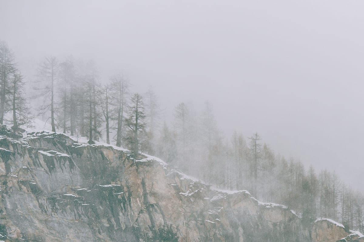 A forested hill slope in a winter snowstorm