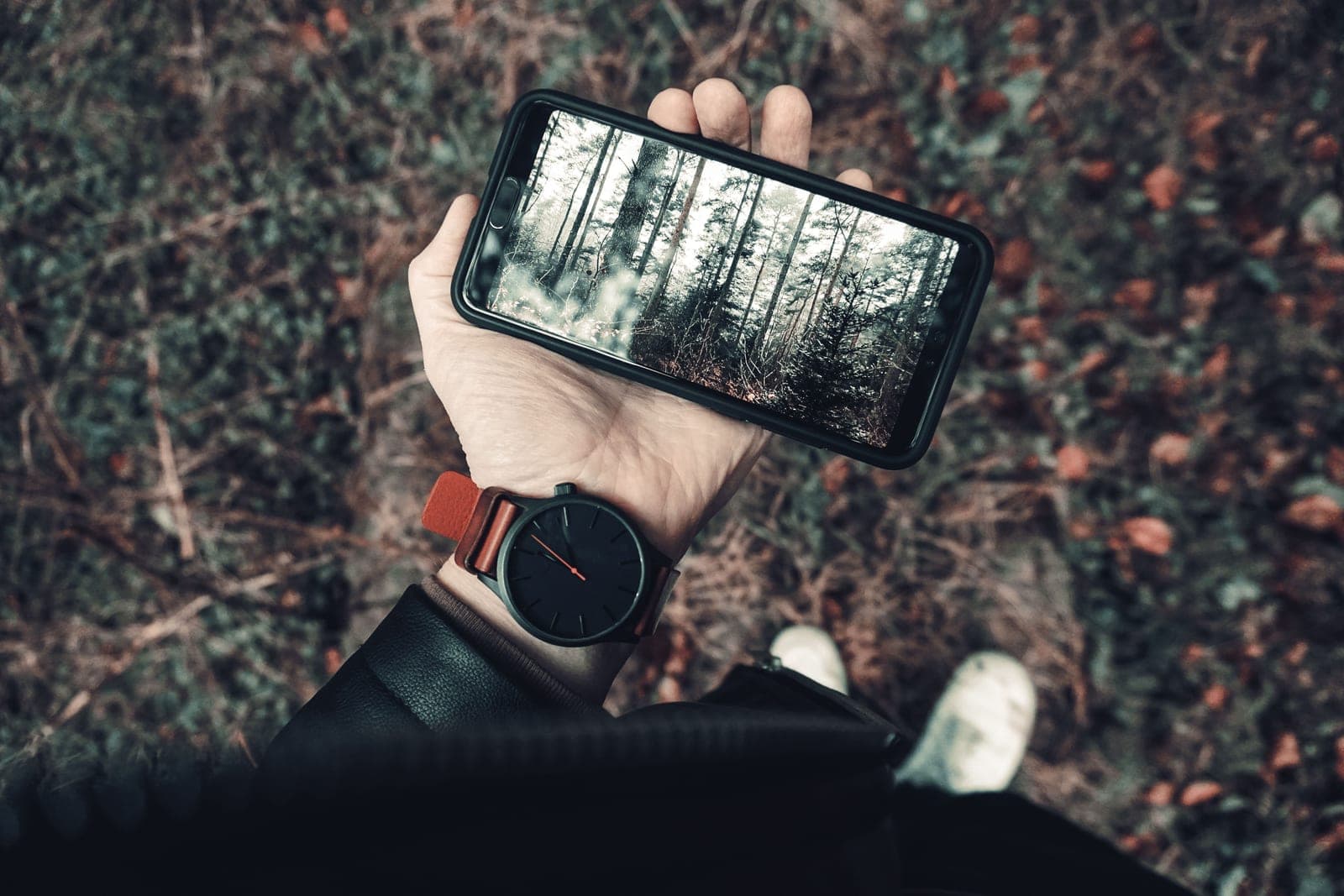 A person outdoors holding a smartphone that shows a photo of the woods